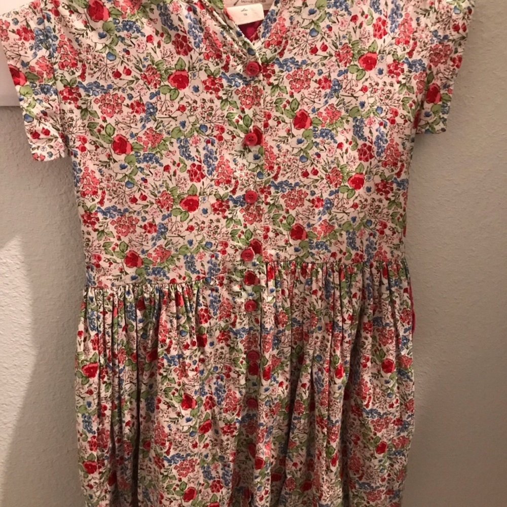 Bijou Sauvage Floral Button-Front Dress in Red, Blue & Green